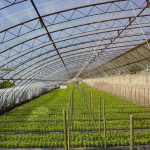 EVA高保温耐老化流滴消雾膜